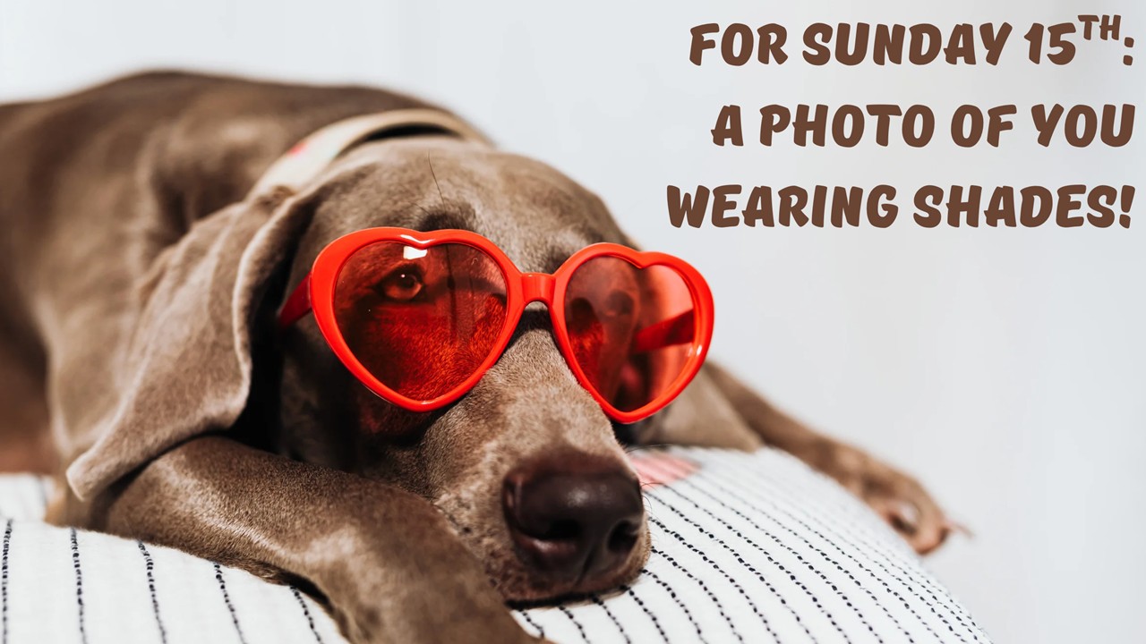 Rotator image unavailable